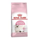 royal canin kitten