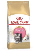 royal canin persian kitten