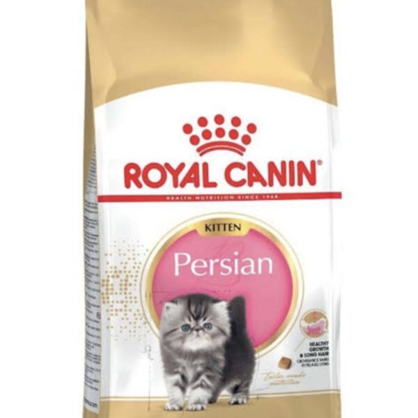 royal canin persian kitten