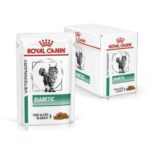 Royal Canin Diabetic Wet Food