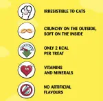 Dreamies cat treats with chicken 60g ظرف دريمز تريتس للقطط بنكهة الفراخ ٦٠ جرام - الصورة 3