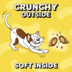 Dreamies cat treats with Duck 60 g ظرف دريمز تريتس للقطط بنكهة البط ٦٠ جرام - الصورة 2