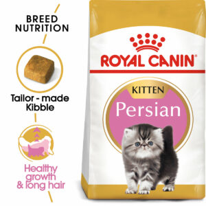 royal canin persian kitten