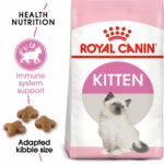 royal canin kitten