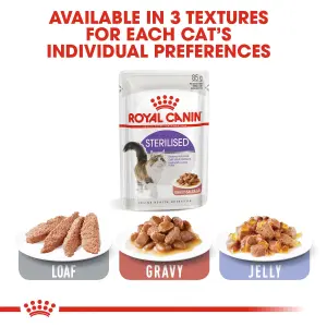 Box Royal canin sterilised wet food 12 pcs عبوة رويال كانين ستيرلايزد طعام رطب ١٢ ظرف 1 Royal Canin Sterilised Wet Food