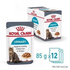 Royal canin urinary care wet food 12 pcs رويال كانين يوريناري كير طعام رطب ١٢ ظرف 1 royal canin urinary care wet food
