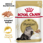 royal canin persian adult wet food