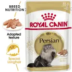 royal canin persian adult wet food
