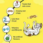 dreamies treats