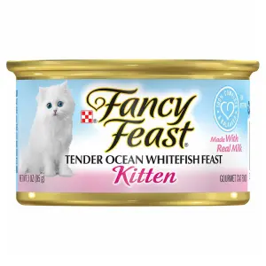 FANCY FEAST Kitten Ocean White Fish Wet Cat Food 85g فانسي فيست طعام القطط الرطب بسمك المحيط الأبيض 85 جم 1 FANCY FEAST Kitten Ocean White Fish Wet Cat Food 85g فانسي فيست طعام القطط الرطب بسمك المحيط الأبيض 85 جم