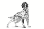⁦Royal Canin Hepatic Dog Cans 420 g - Loaf رويال كانين هيباتك كانز للكلاب⁩ - الصورة ⁦3⁩