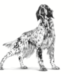 ⁦Royal Canin Hepatic Dog Cans 420 g - Loaf رويال كانين هيباتك كانز للكلاب⁩ - الصورة ⁦3⁩