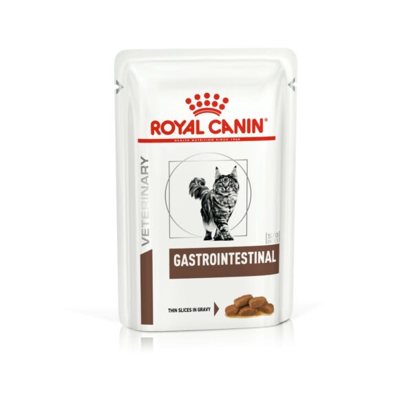 Royal Canin Gastrointestinal wet food