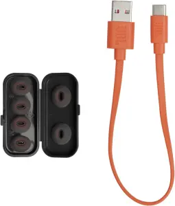 JBL Tune Flex True Wireless