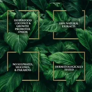 زيت البصل لنمو الشعر، من باراشوت أدفانسد، مزيج من البصل وزيت جوز الهند، يتحكم في تساقط الشعر ويعزز نمو الشعر، 200 مل، أحمر 3 زيت البصل لنمو الشعر، من باراشوت أدفانسد، مزيج من البصل وزيت جوز الهند، يتحكم في تساقط الشعر ويعزز نمو الشعر، 300 مل، أحمر