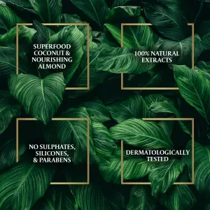 زيت اللوز من باراشوت ادفانسد يعزز اللمعان والنعومة، مزيج من زيت جوز الهند، 200 مل، بني 6 زيت اللوز من باراشوت ادفانسد يعزز اللمعان والنعومة، مزيج من زيت جوز الهند، 200 مل، بني