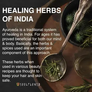 زيت الخروع واكليل الجبل لتحفيز نمو الشعر من سول فلاور، يغذي الشعر ويقلل من تساقطه - زيت شعر عضوي ونقي 100% وطبيعي معصور على البارد، ايكوسيرت كوسموس اورجانيك، 200 مل. 8 زيت الخروع واكليل الجبل لتحفيز نمو الشعر من سول فلاور، يغذي الشعر ويقلل من تساقطه - زيت شعر عضوي ونقي 100% وطبيعي معصور على البارد، ايكوسيرت كوسموس اورجانيك، 200 مل.