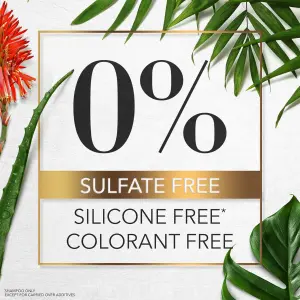 شامبو وبلسم بصبار الالوفيرا والمانجو الفعال والخال من الكبريتات من هيربل ايسنسز، مع مزيج زيت جوز الهند وصبار الالوفيرا للشعر، مجموعة لحماية لون الشعر وترطيبه، للشعر الجاف والمجعد 3 شامبو وبلسم بصبار الالوفيرا والمانجو الفعال والخال من الكبريتات من هيربل ايسنسز، مع مزيج زيت جوز الهند وصبار الالوفيرا للشعر، مجموعة لحماية لون الشعر وترطيبه، للشعر الجاف والمجعد