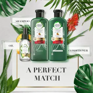 شامبو وبلسم بصبار الالوفيرا والمانجو الفعال والخال من الكبريتات من هيربل ايسنسز، مع مزيج زيت جوز الهند وصبار الالوفيرا للشعر، مجموعة لحماية لون الشعر وترطيبه، للشعر الجاف والمجعد 1 شامبو وبلسم بصبار الالوفيرا والمانجو الفعال والخال من الكبريتات من هيربل ايسنسز، مع مزيج زيت جوز الهند وصبار الالوفيرا للشعر، مجموعة لحماية لون الشعر وترطيبه، للشعر الجاف والمجعد