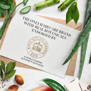 شامبو وبلسم بصبار الالوفيرا والمانجو الفعال والخال من الكبريتات من هيربل ايسنسز، مع مزيج زيت جوز الهند وصبار الالوفيرا للشعر، مجموعة لحماية لون الشعر وترطيبه، للشعر الجاف والمجعد 4 شامبو وبلسم بصبار الالوفيرا والمانجو الفعال والخال من الكبريتات من هيربل ايسنسز، مع مزيج زيت جوز الهند وصبار الالوفيرا للشعر، مجموعة لحماية لون الشعر وترطيبه، للشعر الجاف والمجعد