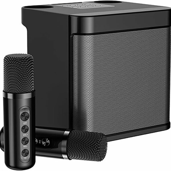 ACHAS Karaoke Machine for Adults & Kids,Portable Bluetooth Karaoke Speaker with 2 Wireless Microphones PA Speaker System for Indoor Outdoor Party, Family Party