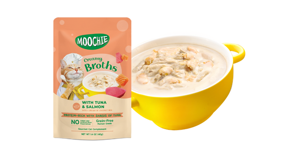 CREAMY BROTHS with Tuna & Salmon