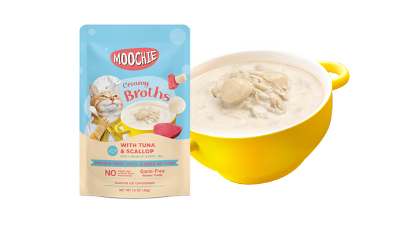 CREAMY BROTHS with Tuna & Scallop