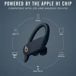 beats Power Pro Totally Wireless Earphones