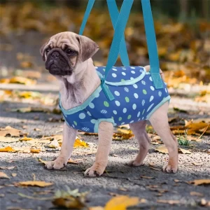 حقيبة حمل للقطط والكلاب الصغيرة بتصميم خفيف وقابل للطي، مع حزام قابل للتعديل، رفيقك العملي في السفر والنزهات 7 110baeb2f362e58f3d57939c333e5692