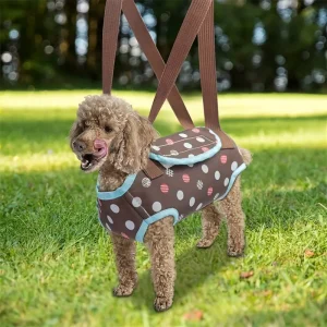 حقيبة حمل للقطط والكلاب الصغيرة بتصميم خفيف وقابل للطي، مع حزام قابل للتعديل، رفيقك العملي في السفر والنزهات 5 51ac1140ed2fa0b31a3dcce6babb4c2a