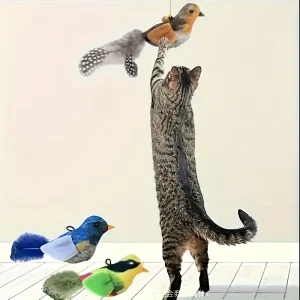 لعبة طائر تفاعلية بصوت للقطط، بدون شحن، ممتعة وآمنة 4 901bb0c7 42ea 4a82 88ab 6888b85b4c80