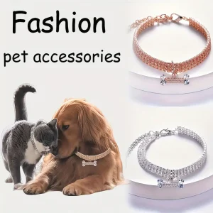 قلادة عصرية للحيوانات الأليفة بتصميم كوبية ولمسة فاخرة مع عظمة براقة، مثالية كهديّة مميزة لعشّاق الحيوانات 3 1a134486 bb7a 4266 b9af 11afa7ee6a18