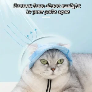 قبعة صيفية للحيوانات الأليفة لحماية الرأس من الشمس، بتصميم انيق وألوان متعددة، مناسبة للنزهات والأنشطة الخارجية 9 d12f35e6 a13c 444d afd2 713fb8abb0ea