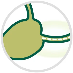 PURINA (PRO PLAN) Sterilised Nutri Savour، طعام نوتري سيفور للقطط المعقمة، وجبات رطبة بنكهات متعددة ومتوازنة 5 07613034588265 F 02 ProPlanCatChicken85g ENBEFRCHITNLDEAU 43738700