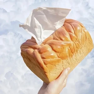 صندوق مناديل بشكل خبز توست محمص، زينة مرحة وهدية منزلية لطيفة، يساعد على تنظيم المناديل بطريقة أنيقة ومسلية 2 0ff140e9 dde8 472e b434 20c97c7fabec