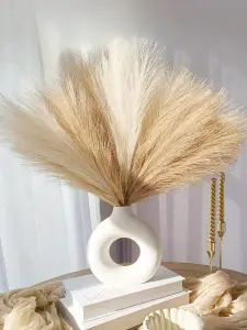 أعشاب بامباس صناعية بنفسجي غامق، 18 قطعة ديكور بوهو فخم للفازات والمناسبات 7 174772294822fbacebf064bb87621289f8770db934