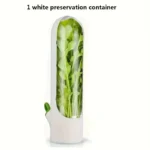 صندوق حفظ الأعشاب الطازجة في الثلاجة – حاوية تخزين الخضروات والأعشاب - الصورة 6