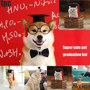 قبعة تخرج للحيوانات الأليفة، إكسسوار بوليستر لطيف للقطط والكلاب في حفلات التخرج 3 386c0a70be3144078f3b2a57602f488c goods