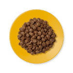 طعام قطط جاف – وصفة الدجاج – طعام خالي من الحبوب – قطط بالغة – تغذية طبيعية – طعام عالي البروتين – أكل قطط صحي – علف قطط بالغ – طعام دجاج للقطط – أغذية الحيوانات الأليفة - ADULT DRY FOOD CHICKEN RECIPE 2KG