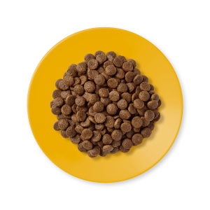 Applasw ADULT DRY FOOD CHICKEN RECIPE 2KG - طعام قطط بالغ جاف بالدجاج 2 كجم 2 طعام قطط جاف – وصفة الدجاج – طعام خالي من الحبوب – قطط بالغة – تغذية طبيعية – طعام عالي البروتين – أكل قطط صحي – علف قطط بالغ – طعام دجاج للقطط – أغذية الحيوانات الأليفة - ADULT DRY FOOD CHICKEN RECIPE 2KG