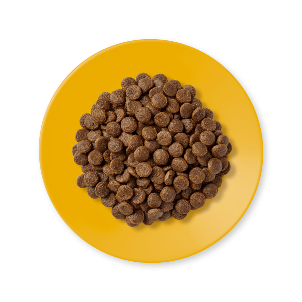 طعام قطط جاف – وصفة الدجاج – طعام خالي من الحبوب – قطط بالغة – تغذية طبيعية – طعام عالي البروتين – أكل قطط صحي – علف قطط بالغ – طعام دجاج للقطط – أغذية الحيوانات الأليفة - ADULT DRY FOOD CHICKEN RECIPE 2KG