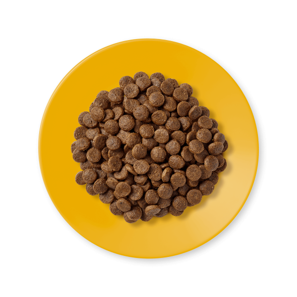 طعام قطط جاف – وصفة الدجاج – طعام خالي من الحبوب – قطط بالغة – تغذية طبيعية – طعام عالي البروتين – أكل قطط صحي – علف قطط بالغ – طعام دجاج للقطط – أغذية الحيوانات الأليفة - ADULT DRY FOOD CHICKEN RECIPE 2KG