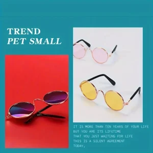 نظارات أزياء دائرية للحيوانات الأليفة، إكسسوار مرِح للقطط والكلاب الصغيرة، مثالي لجلسات التصوير ومشاركة الصور على مواقع التواصل 9 490441bd 6290 4c3a a4e7 27f4460967a3
