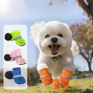 4961e1e0 eb9d 4d94 bbf8 184abd737c93