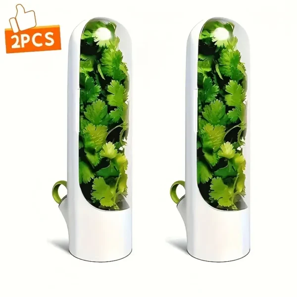 صندوق حفظ الأعشاب الطازجة في الثلاجة – حاوية تخزين الخضروات والأعشاب