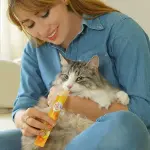 INABA Churu Churu Pops Tuna 60G/4 Sticks Per Pack - الصورة 3