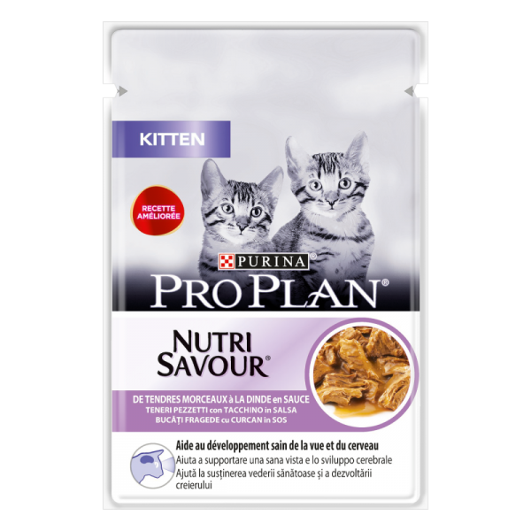 Purina Pro Plan Cat NutriSavour Kitten Turkey in Gravy، طعام رطب للقطط الصغيرة