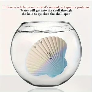 سوار مفاجأة في صدفة، لعبة تعليمية تفاعلية للفتيات تنفتح بالماء، هدية مثالية للفتيات في أعياد الميلاد والمناسبات 7 843c7cd38affd039e37874183a52f1a1