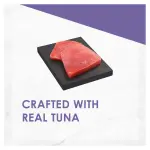 فانسي فيست رويال للبالغين بحجم 85جم FANCY FEAST Adult Royale 85g - الصورة 4