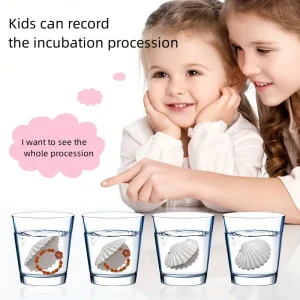 سوار مفاجأة في صدفة، لعبة تعليمية تفاعلية للفتيات تنفتح بالماء، هدية مثالية للفتيات في أعياد الميلاد والمناسبات 6 94b3c95362635ab50e5046fc7ec48447